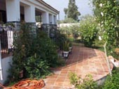 Lower Terrace